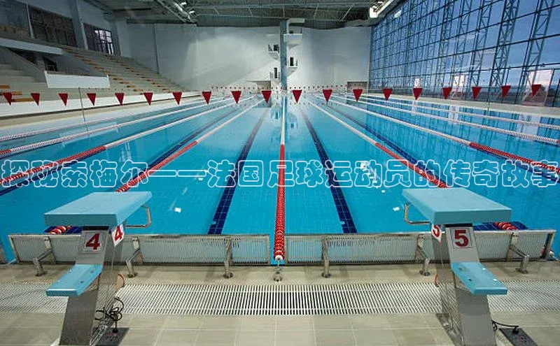 悟空体育平台登录入口百度搜索资源平台探秘索梅尔——法国足球运动员的传奇故事