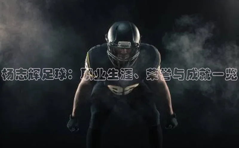 悟空官网入口最新版诸葛科技杨志辉足球：职业生涯、荣誉与成就一览