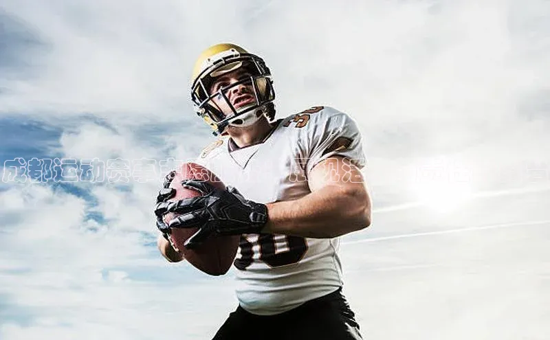 成都运动赛事志愿服务：展现活力与责任的舞台