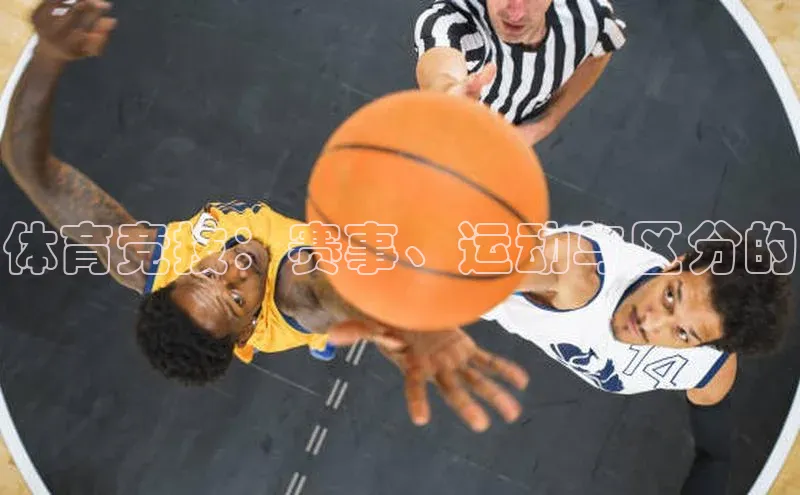体育竞技：赛事、运动与区分的