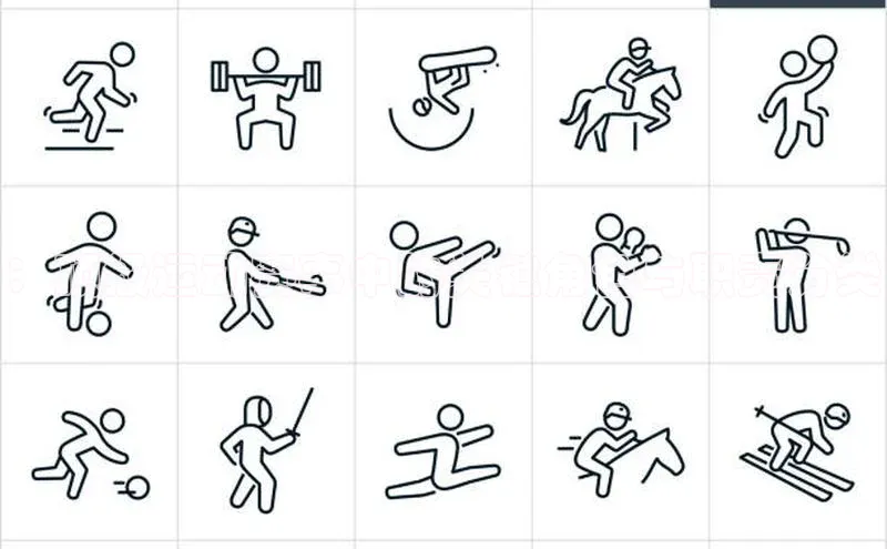 ：顶级运动赛事中的关键角色与职责分类