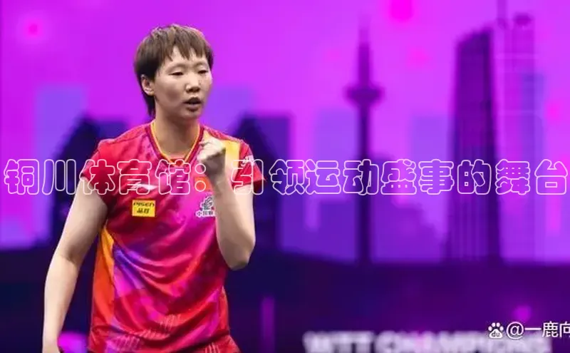 铜川体育馆：引领运动盛事的舞台