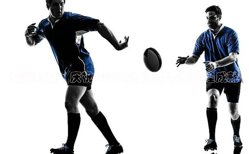 荣耀时刻：庆祝2023年度运动赛事辉煌成就