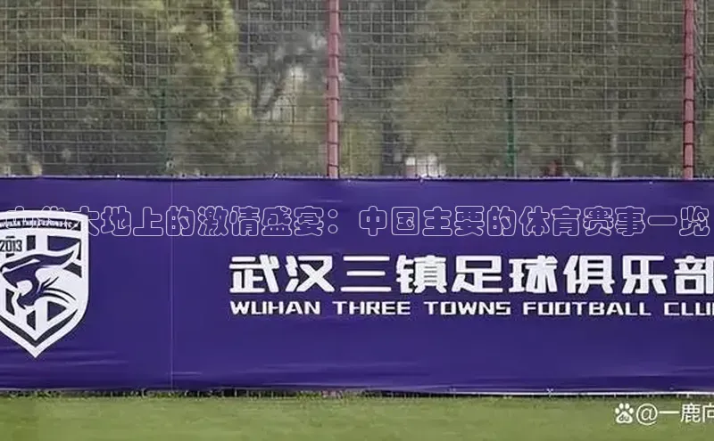 中华大地上的激情盛宴：中国主要的体育赛事一览