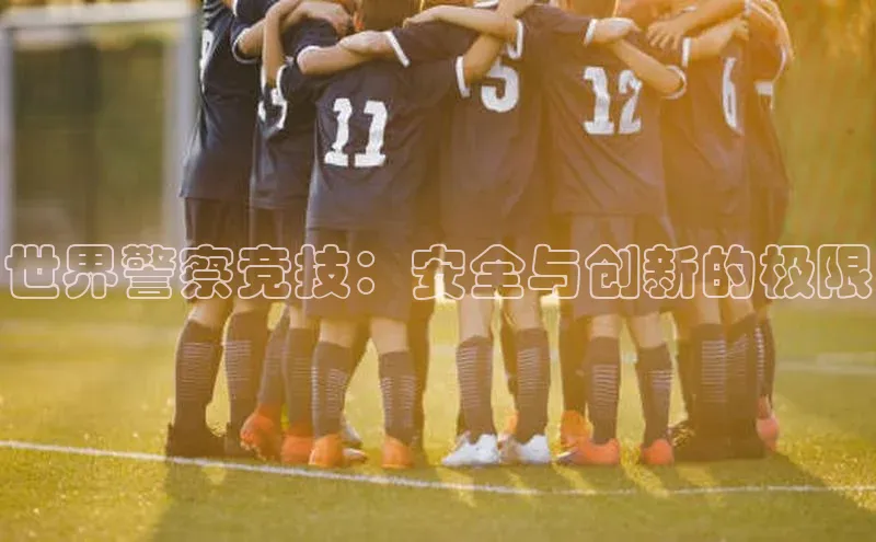 世界警察竞技：安全与创新的极限