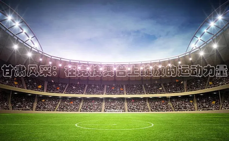 甘肃风采：在竞技舞台上绽放的运动力量