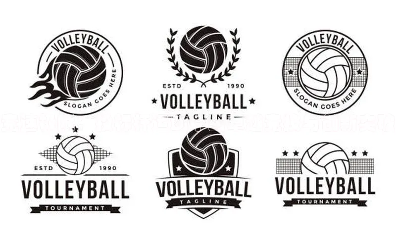 竞速极限：投标杆运动中的卓越竞技与创新突破