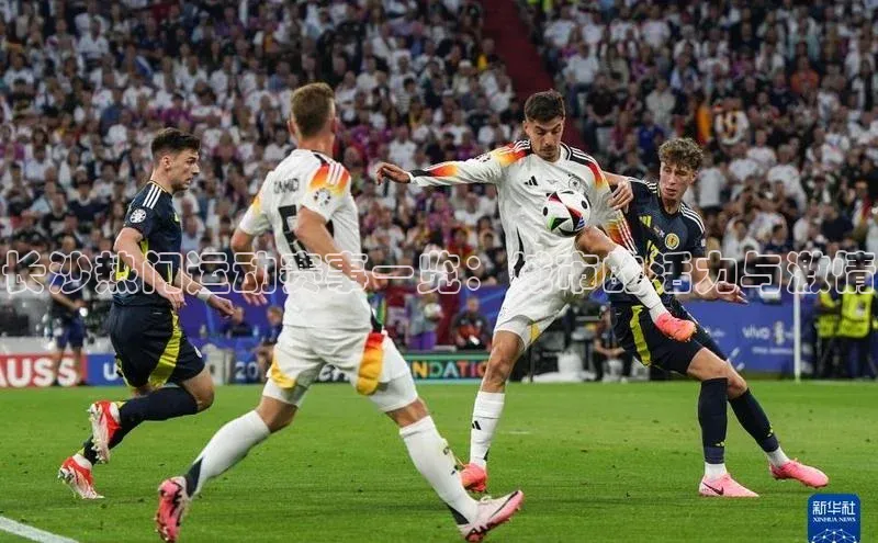 长沙热门运动赛事一览：城市的活力与激情