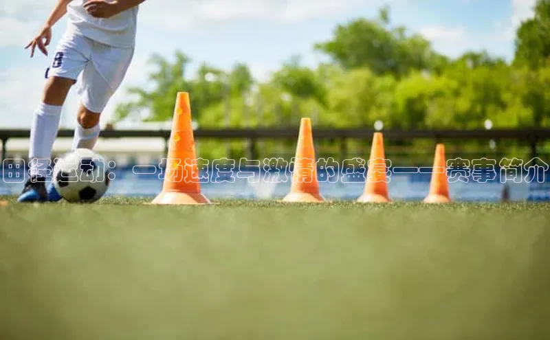 田径运动：一场速度与激情的盛宴——赛事简介