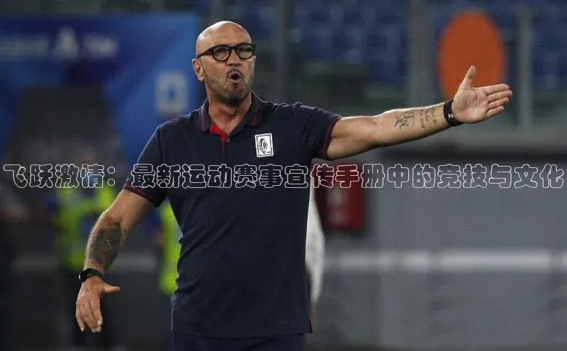 飞跃激情：最新运动赛事宣传手册中的竞技与文化
