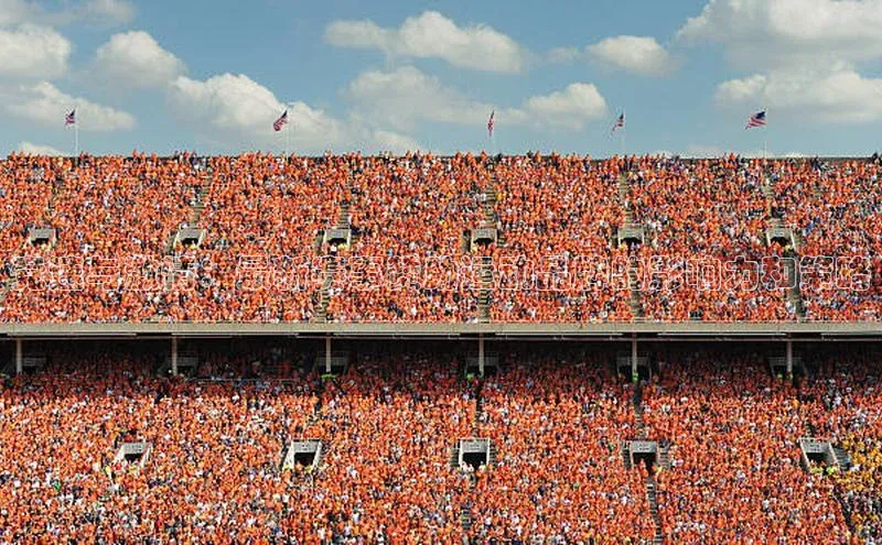 竞速与激情：最新赛事赞助运动品牌的影响力和策略