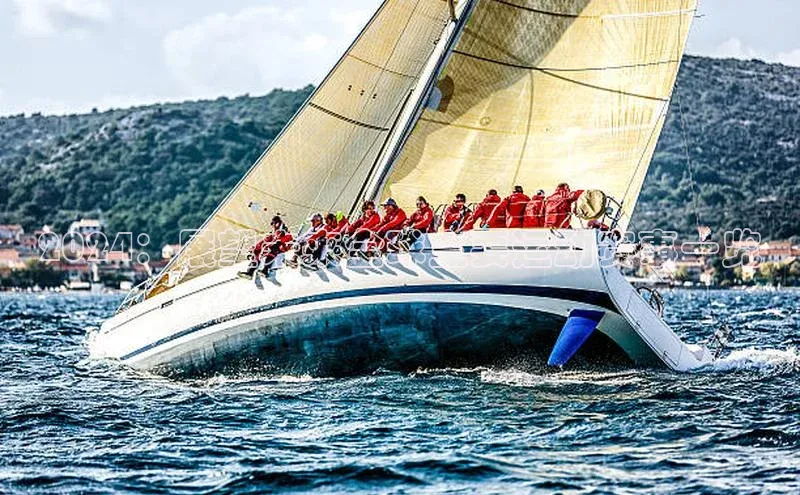 2024：展望未来全球主要运动赛事一览