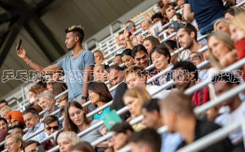 乒乓球运动赛事全：从技术到战术的深度