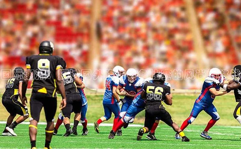 国际潮流：探讨国外路亚钓鱼比赛的风尚与挑战