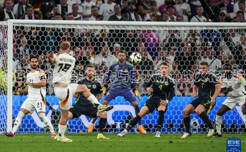 今日运动盛会：活力与团队精神的火花碰撞