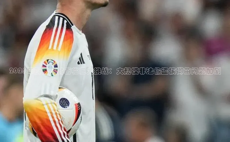 2025年前保亭将面临巨大挑战：大规模非法偷盗槟榔苗问题加剧