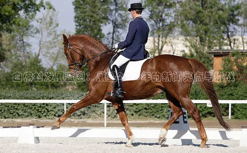 白佛村发展蓝图：展望2025年的新闻亮点与挑战