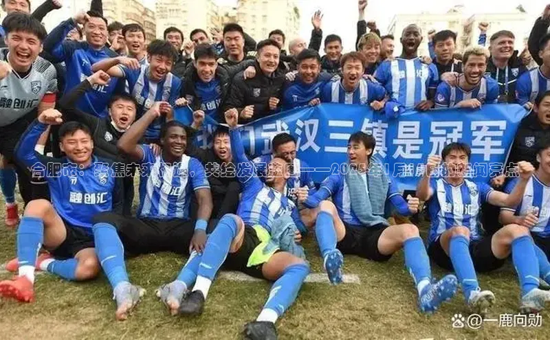 合肥市：聚焦未来机遇，共绘发展蓝图——2025年1月15日的新闻亮点